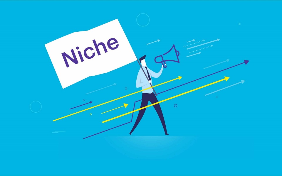 Thị trường ngách là gì 1 thị trường ngách là gì